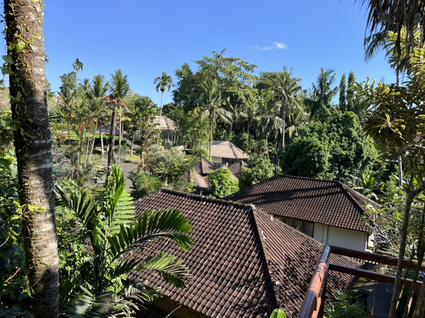 ビーチの癒し、文化の探求、異国の料理で新しい体験を。