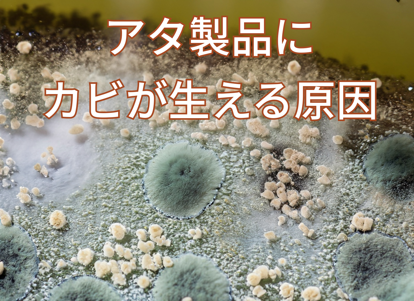 アタ製品にカビが生える原因